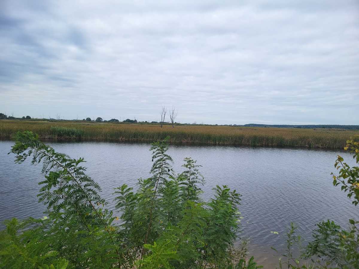 Продажа участка для личного сельского хозяйства 200 соток, Вороньков, улица б/н