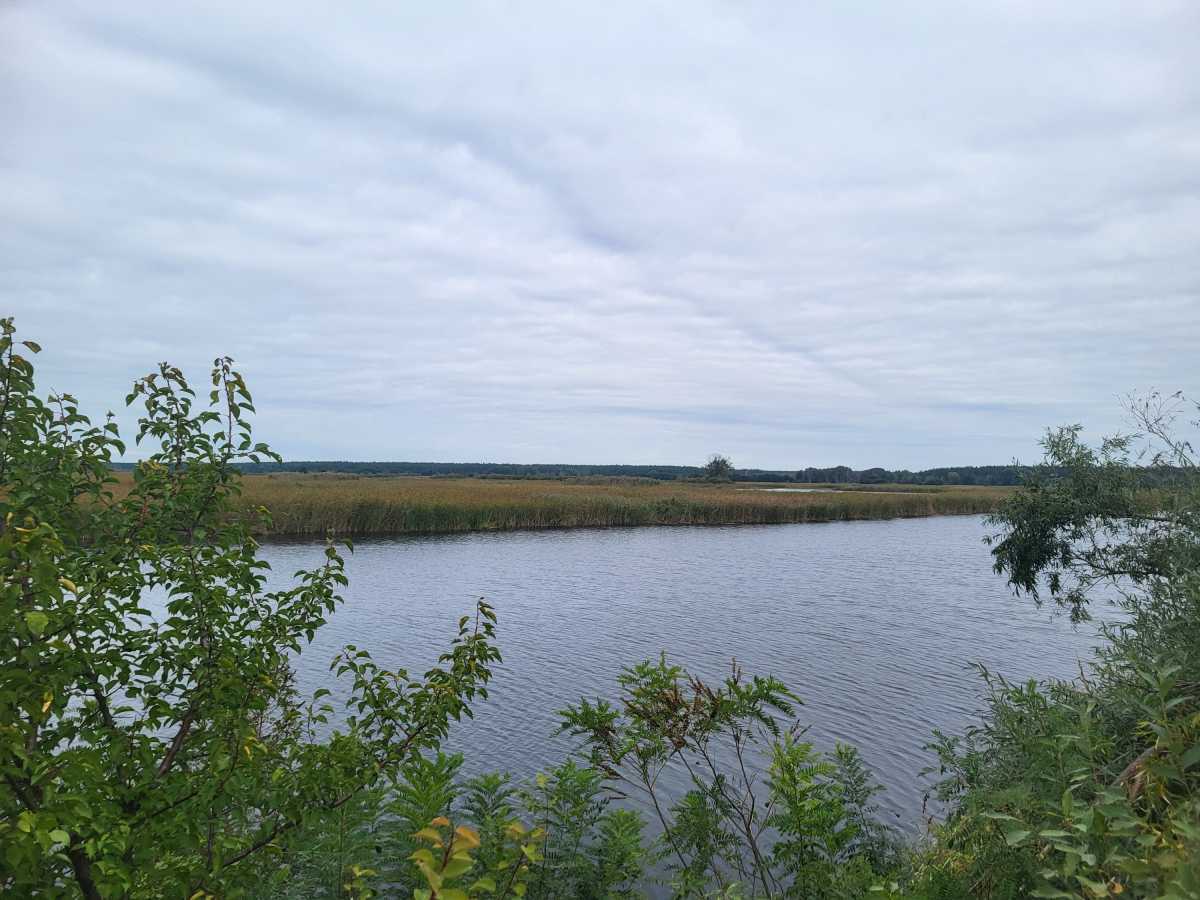 Продажа участка для личного сельского хозяйства 200 соток, Вороньков, улица б/н