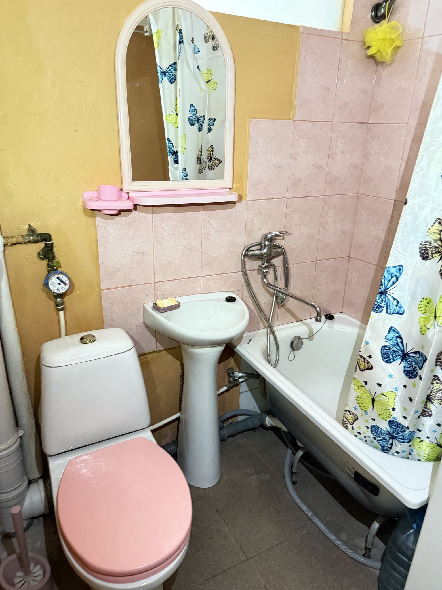 Аренда 2-комнатной квартиры 45 м², Патриотическая ул., 74