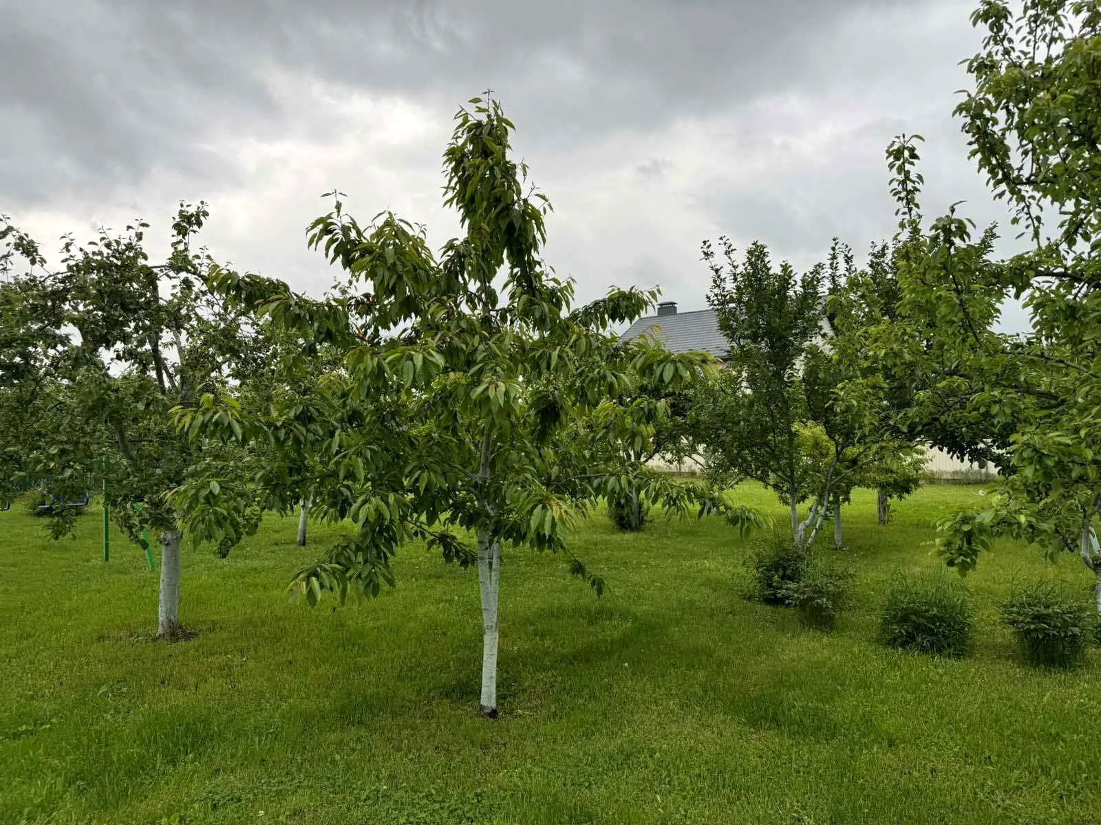 Продажа участка под индивидуальное жилое строительство 6 соток