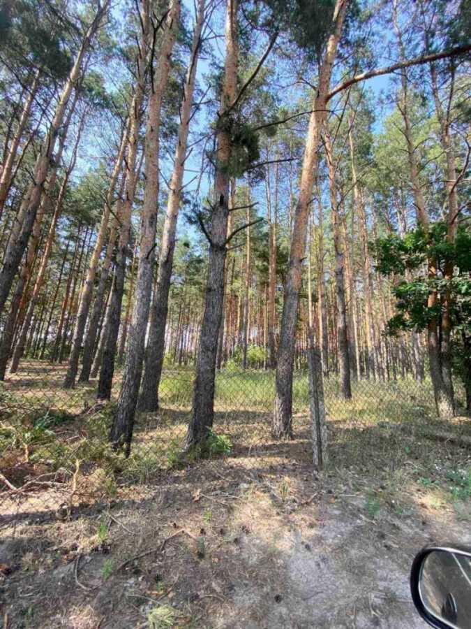 Продажа участка под индивидуальное жилое строительство 6 соток, 10-а Садова