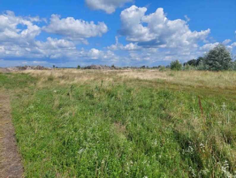 Продажа участка для личного сельского хозяйства 6232 соток, Зазімська с/р