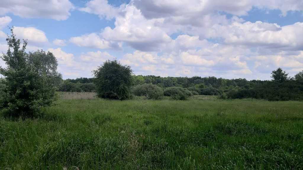 Продажа участка для личного сельского хозяйства 200 соток