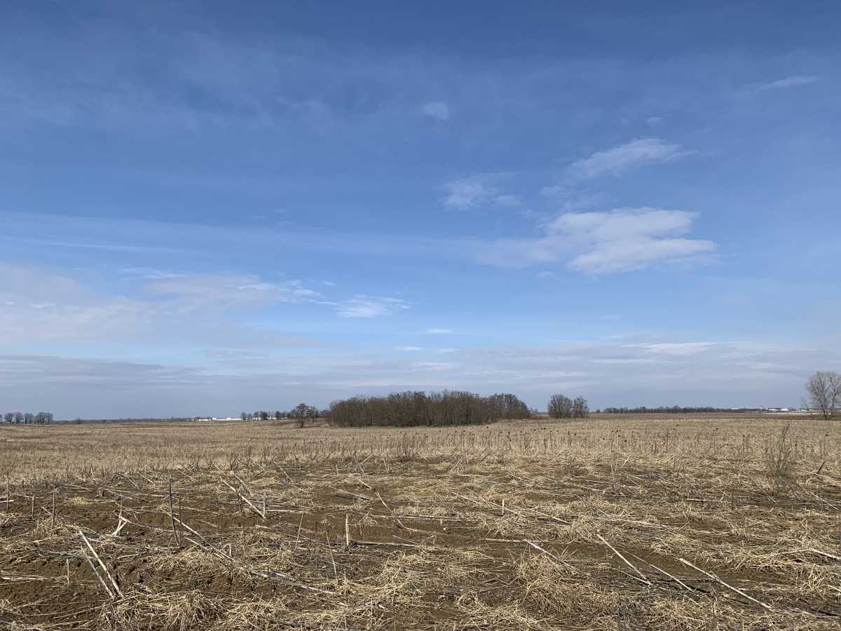 Продажа участка для личного сельского хозяйства 200 соток, Глибоцька с/р