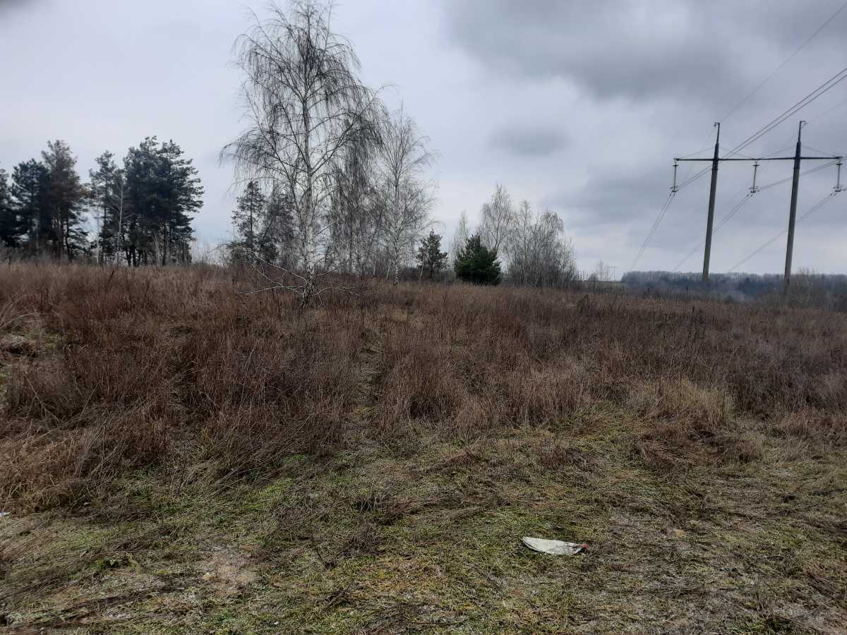 Продажа участка для личного сельского хозяйства 153 соток, Долинова