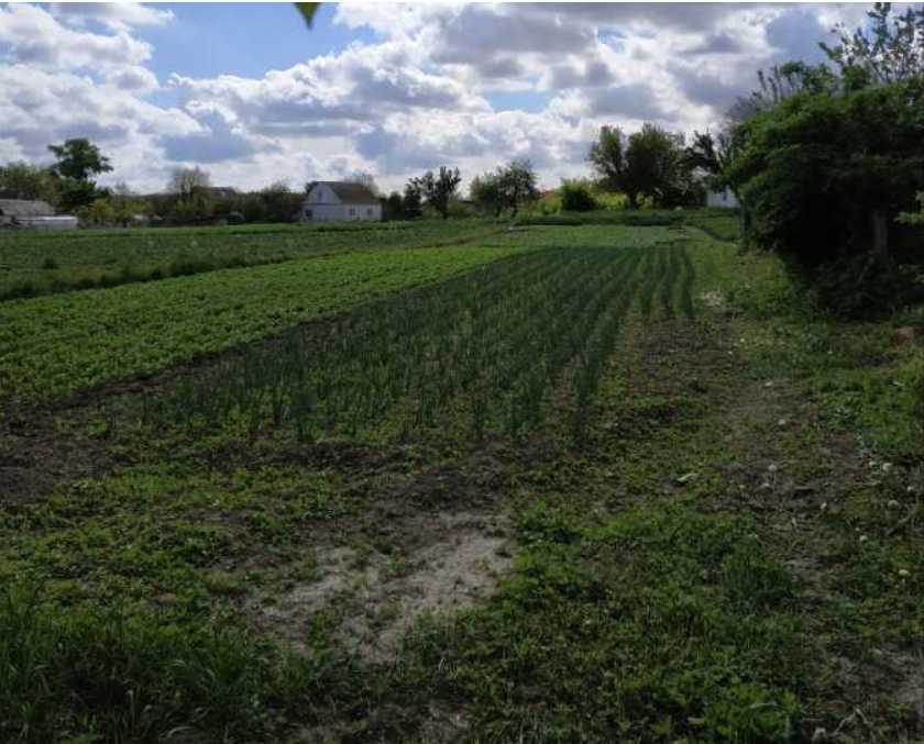 Продажа участка под индивидуальное жилое строительство 20 соток, Оболонська