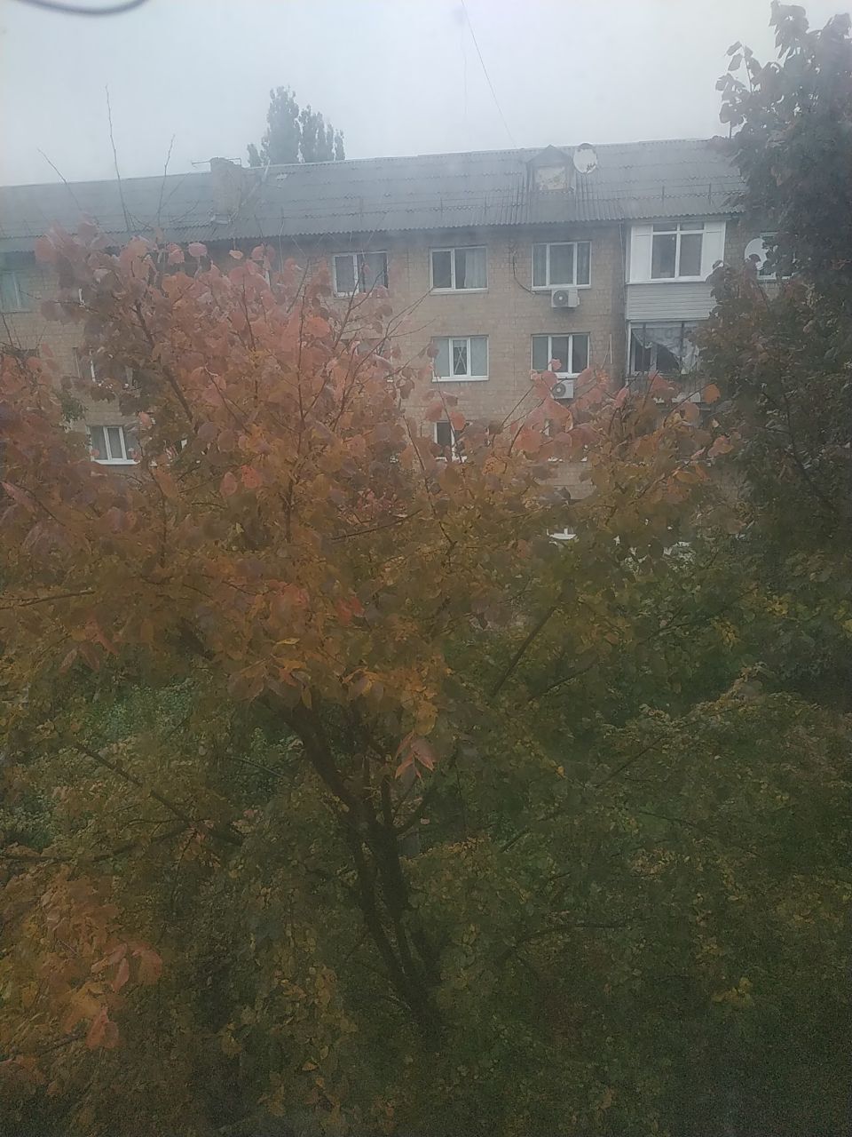 Оренда 2-кімнатної квартири 46.6 м², Науки просп., 42/1 К8