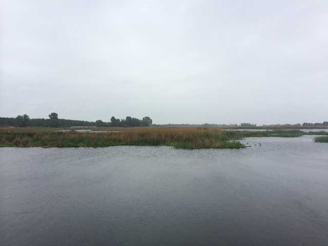 Продажа участка под индивидуальное жилое строительство 240 соток, Центральная ул.