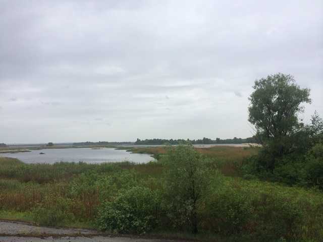 Продажа участка под индивидуальное жилое строительство 240 соток, Центральная ул.