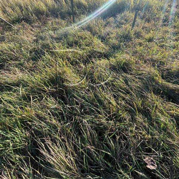 Продажа участка под индивидуальное жилое строительство 0.08 соток, Курганная ул.