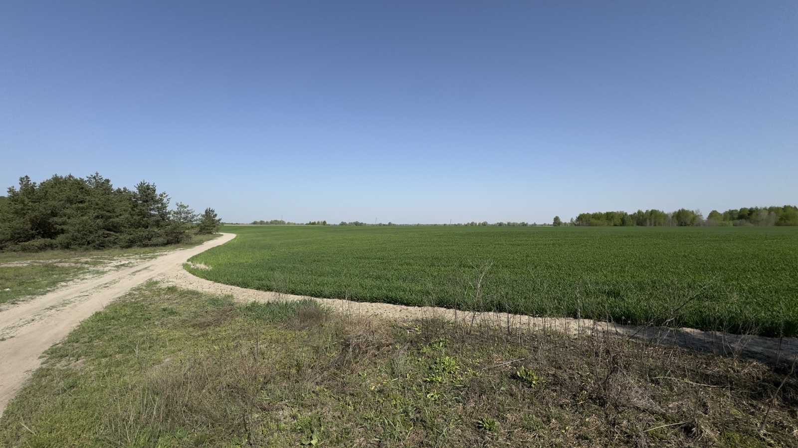 Продажа участка под индивидуальное жилое строительство 1600 соток, Новобогданівська