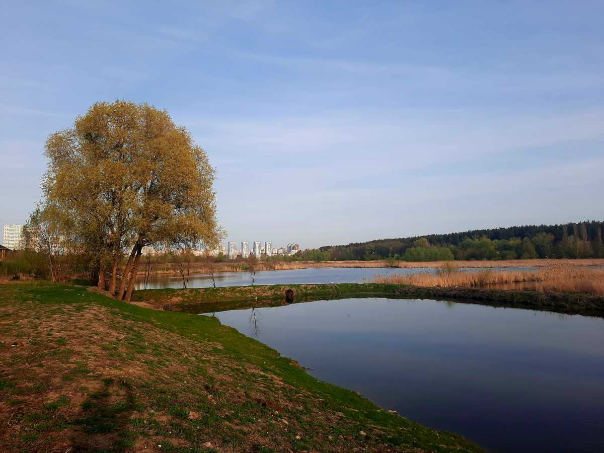 Продажа участка под индивидуальное жилое строительство 8 соток, Обуховская ул.