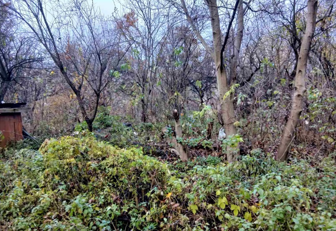 Продажа участка под индивидуальное жилое строительство 19 соток, Академика Кащенко ул., ул.1