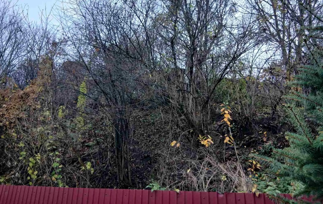 Продажа участка под индивидуальное жилое строительство 19 соток, Академика Кащенко ул., ул.1