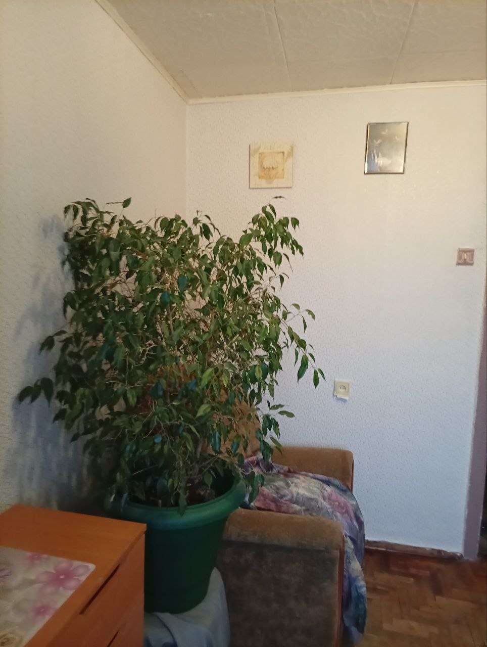 Аренда 2-комнатной квартиры 72 м², Петра Радченко ул., 12