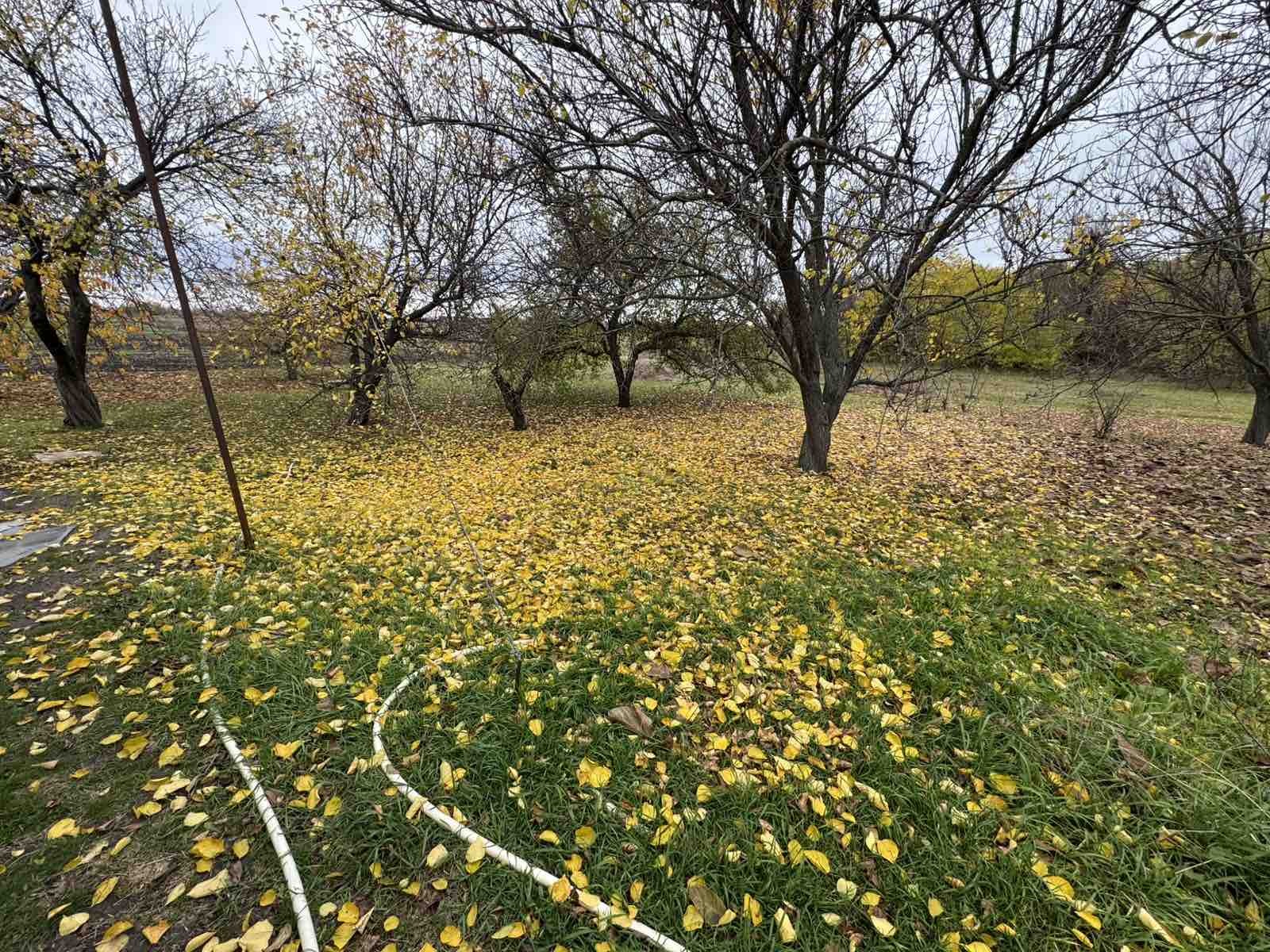 Продажа дома 55 м²