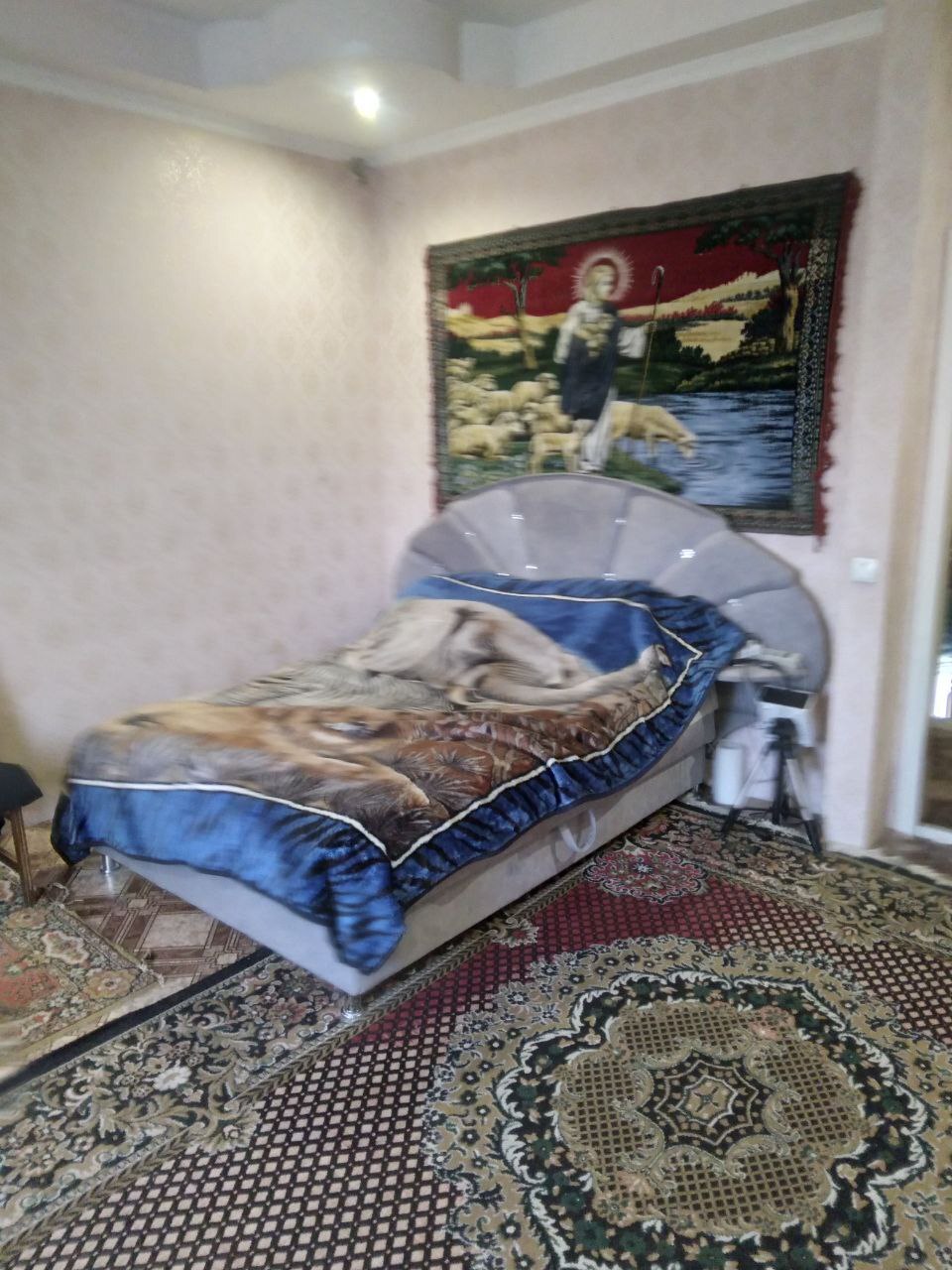 Аренда дома 290 м², Михайлова ул.