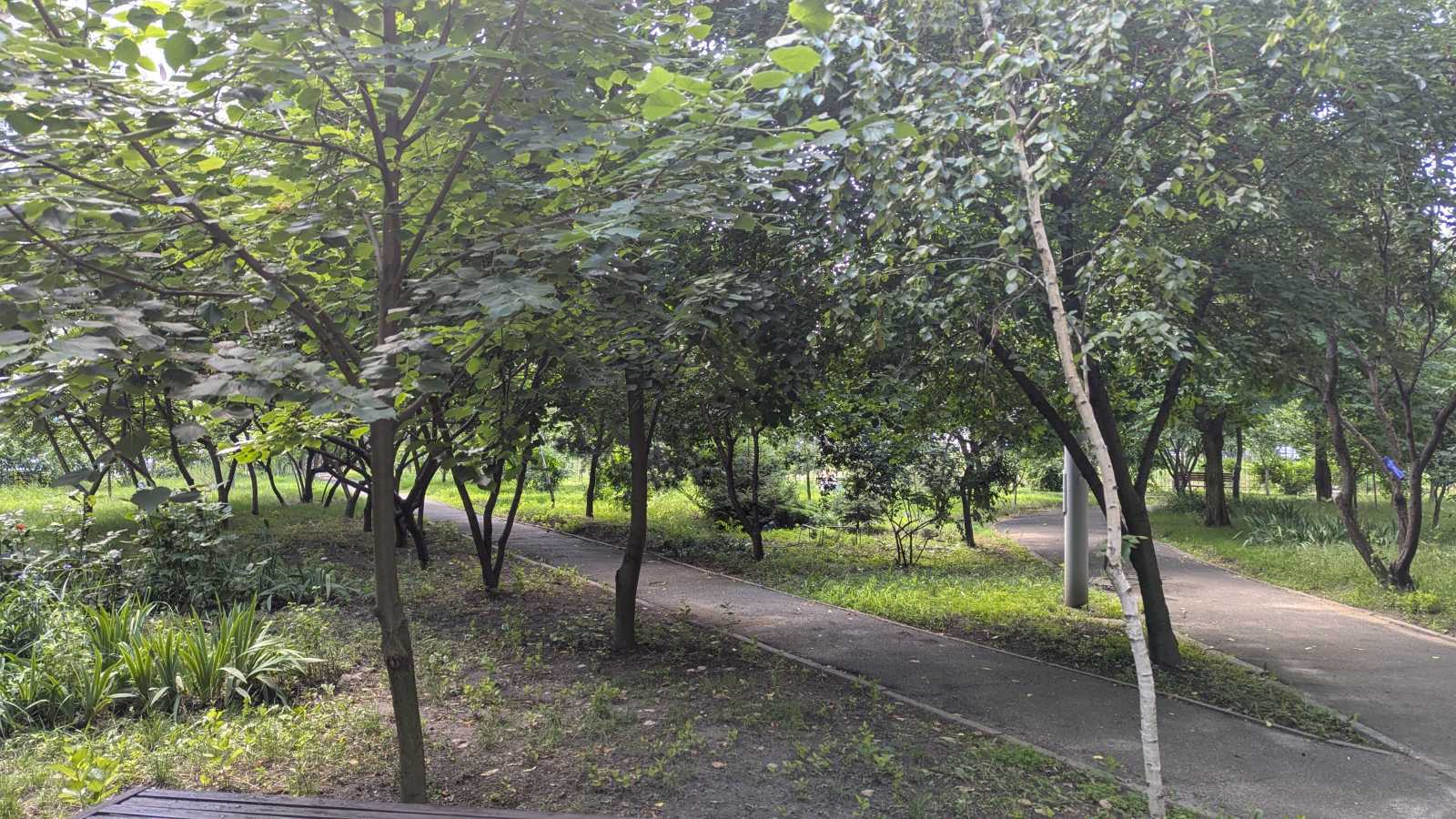 Продажа 1-комнатной квартиры 43 м², Михаила Донца ул., Драгоманова, 12А