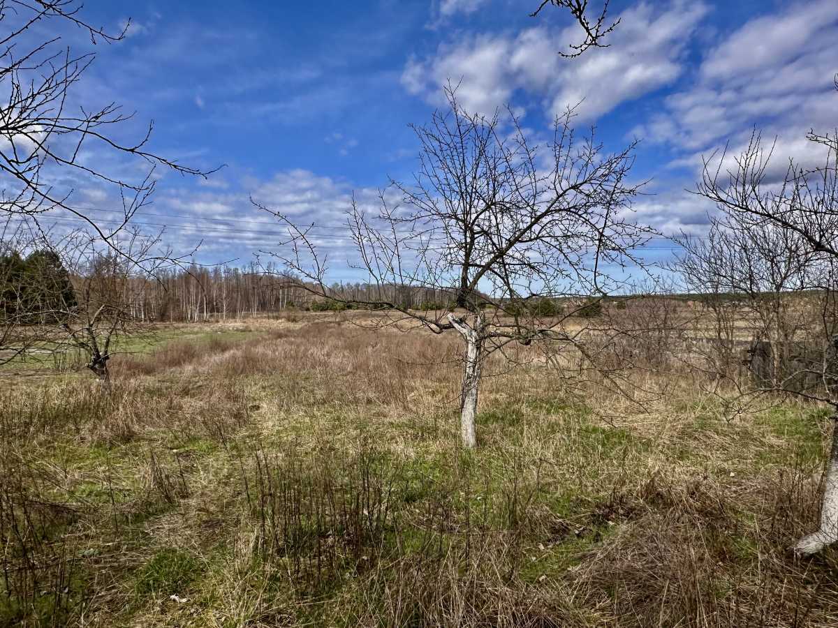 Продажа дома 50 м², Шевченка, 1