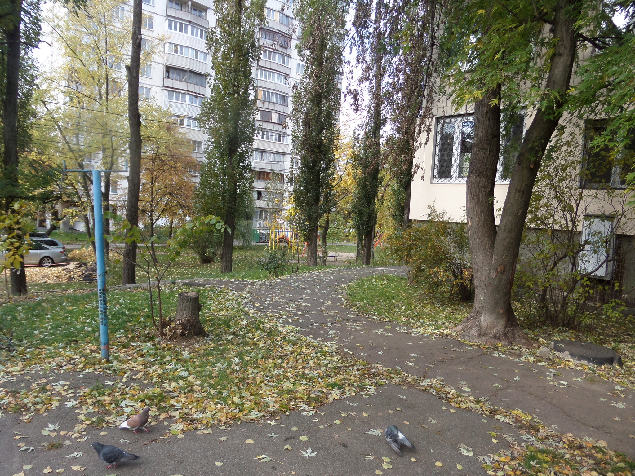 Продажа 1-комнатной квартиры 41.5 м², Академика Вернадского бул.