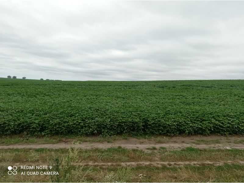 Продаж ділянки для особистого сільського господарства 43.41 соток, Нова 2