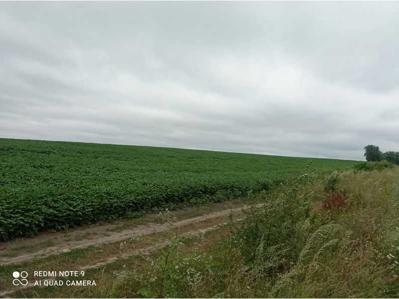 Продаж ділянки для особистого сільського господарства 43.41 соток, Нова 2