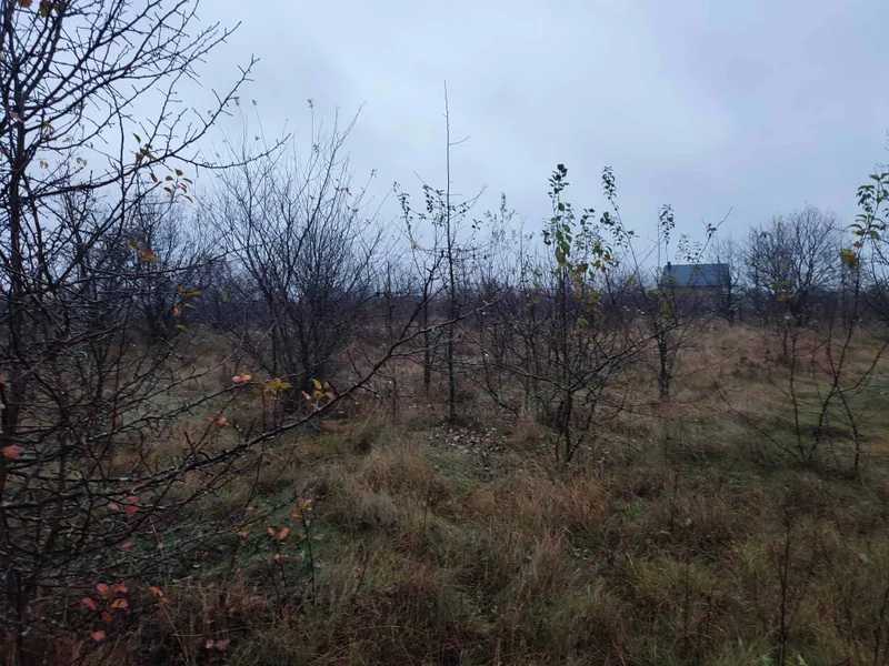 Продажа участка для личного сельского хозяйства 22.64 соток, Садова, 25