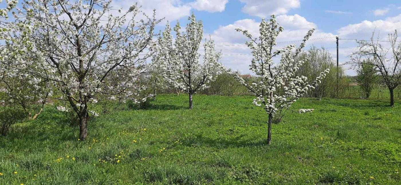 Продажа дома 262 м², Польова