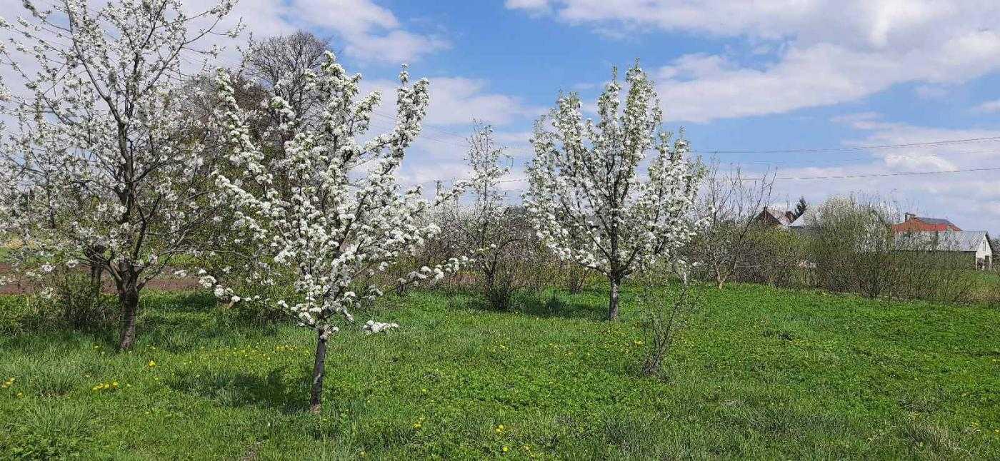 Продажа дома 262 м², Польова