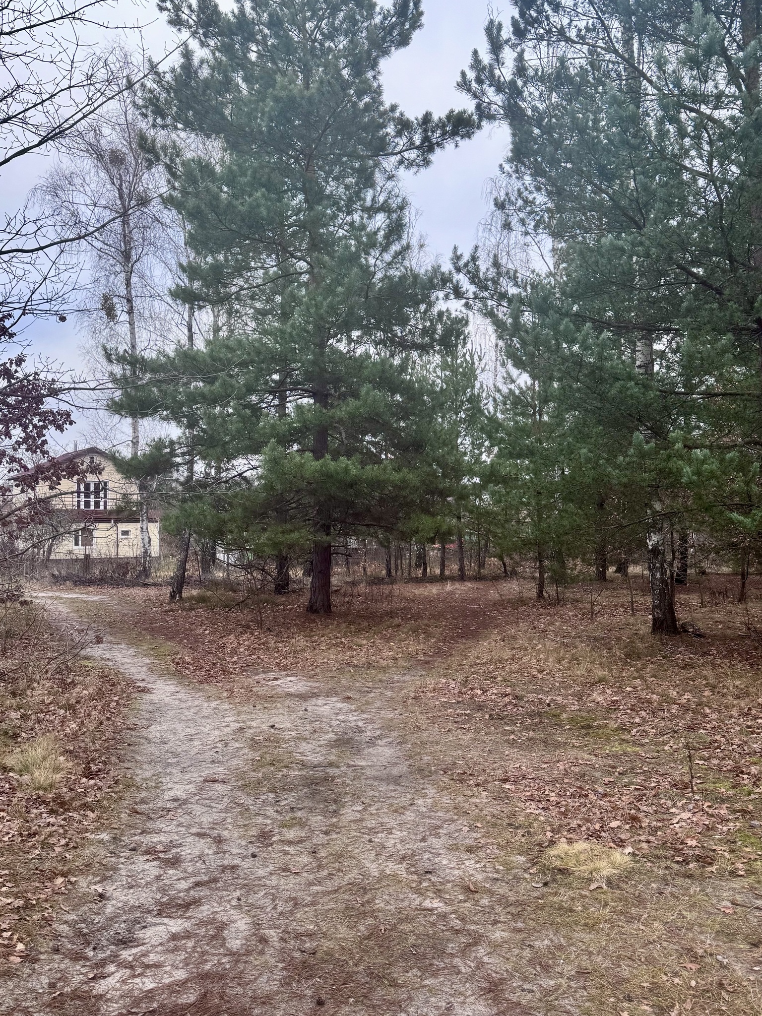 Продажа дачного участка 6 соток