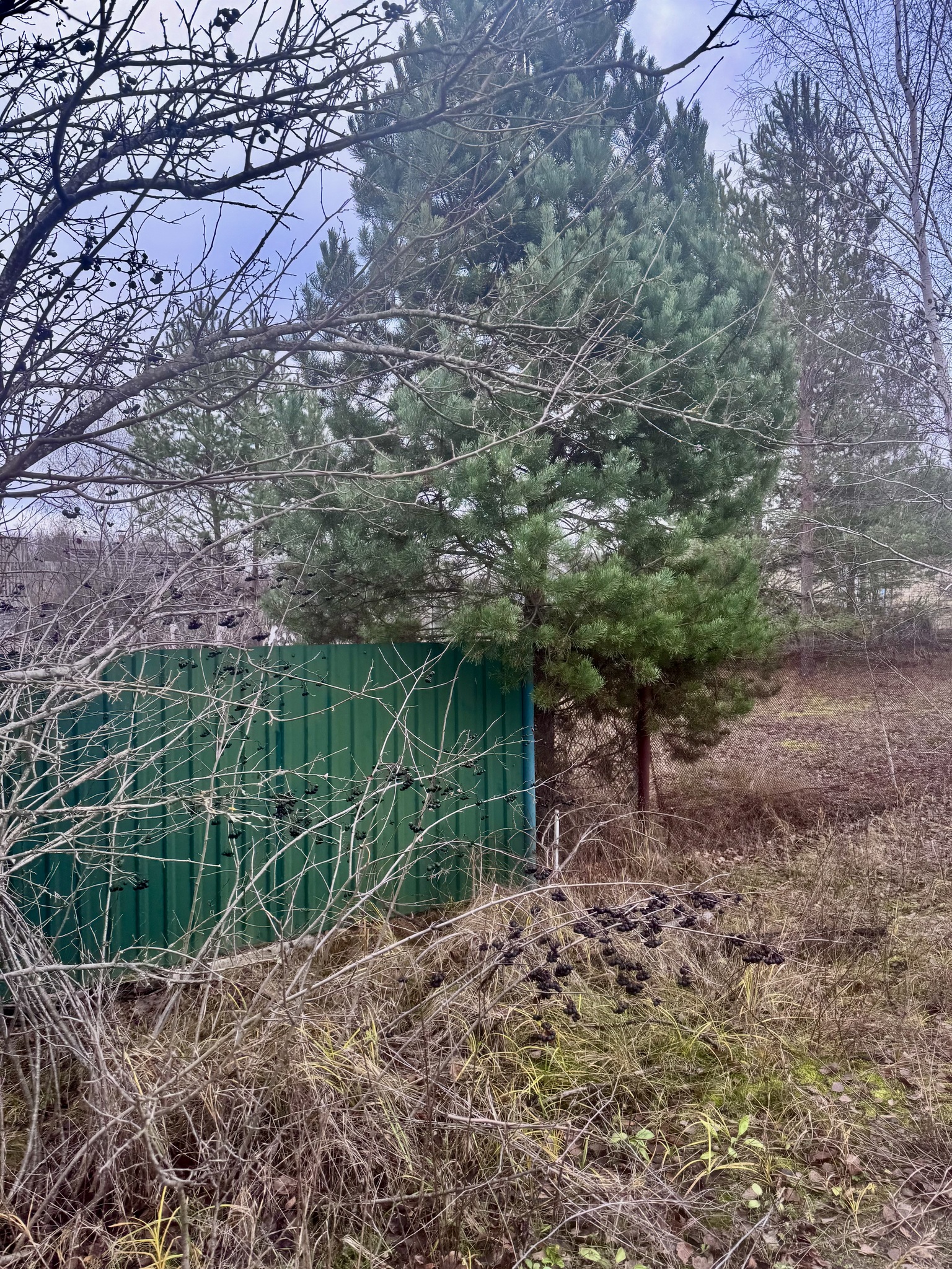 Продажа дачного участка 6 соток