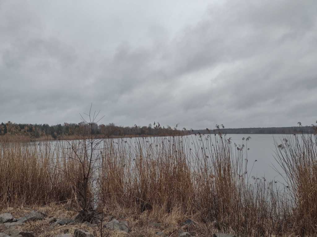 Продажа дачи 60 м², Бузкова