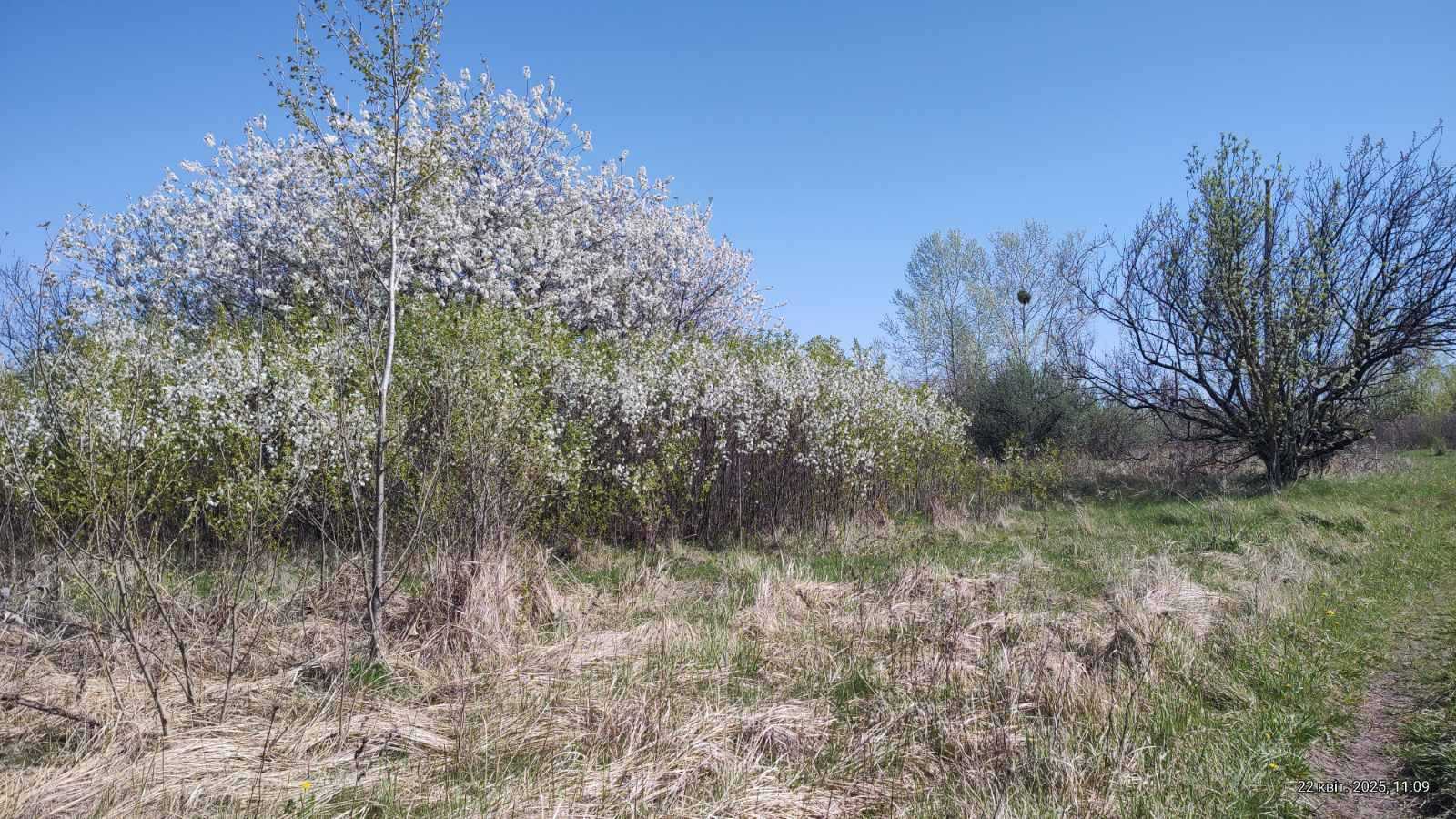 Продаж ділянки під індивідуальне житлове будівництво 7.38 соток, Вірності