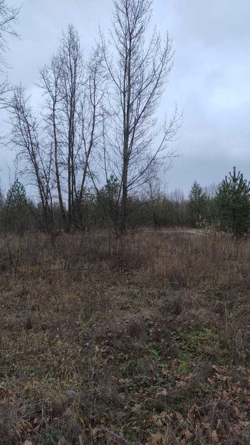 Продаж ділянки під індивідуальне житлове будівництво 25 соток, Будівельників