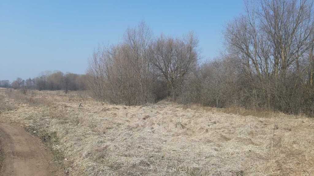 Продажа участка для личного сельского хозяйства 200 соток, Вороньков, улица Вороньків