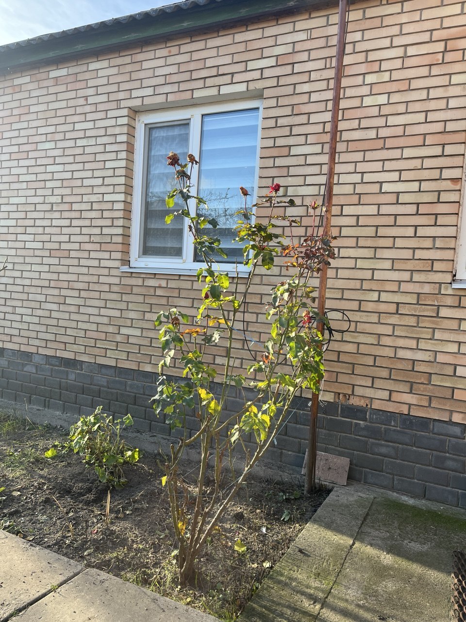 Аренда дома 70 м², Константина Арефьева ул., 18