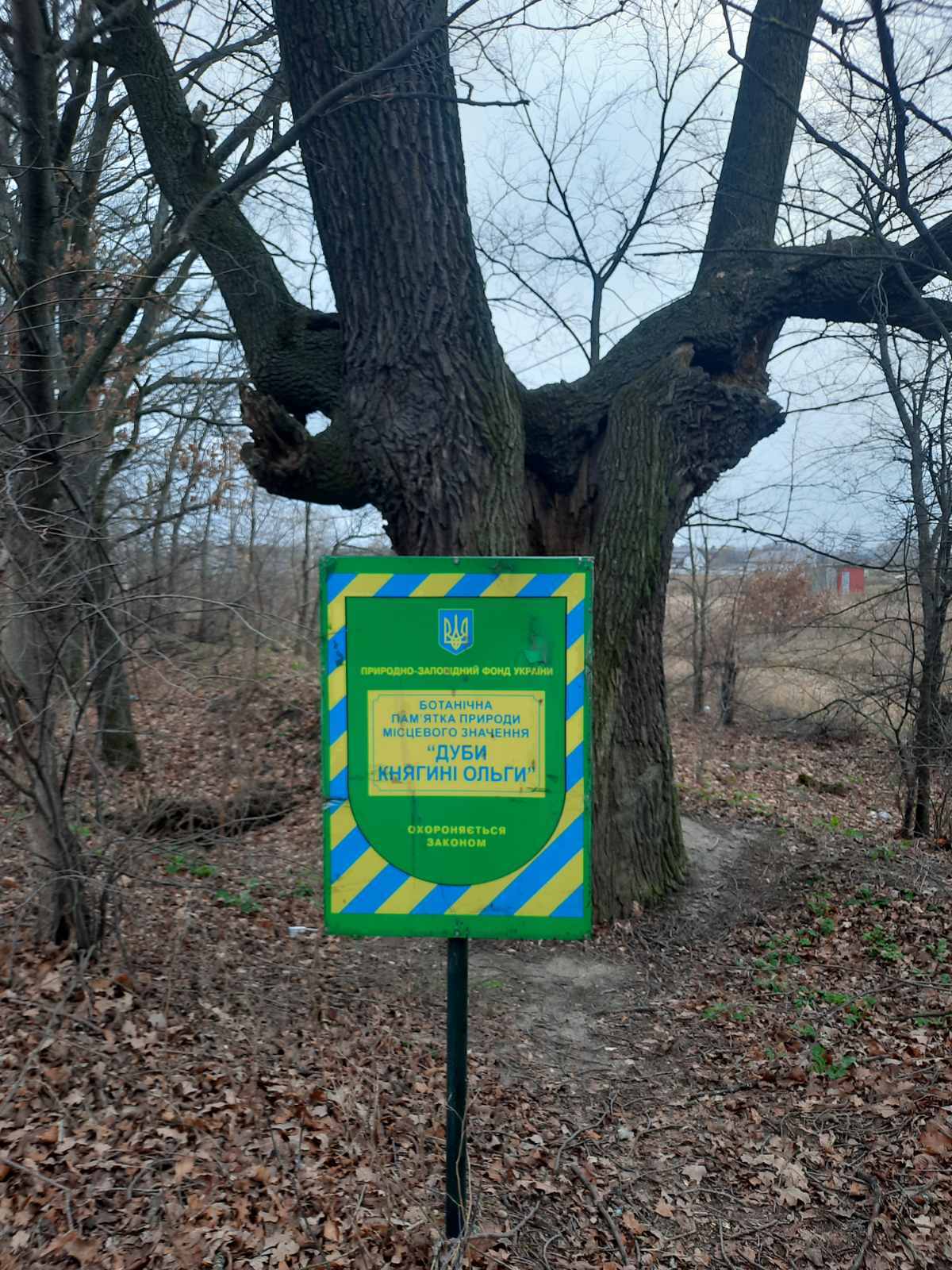 Продаж ділянки під рослинництво 12 соток