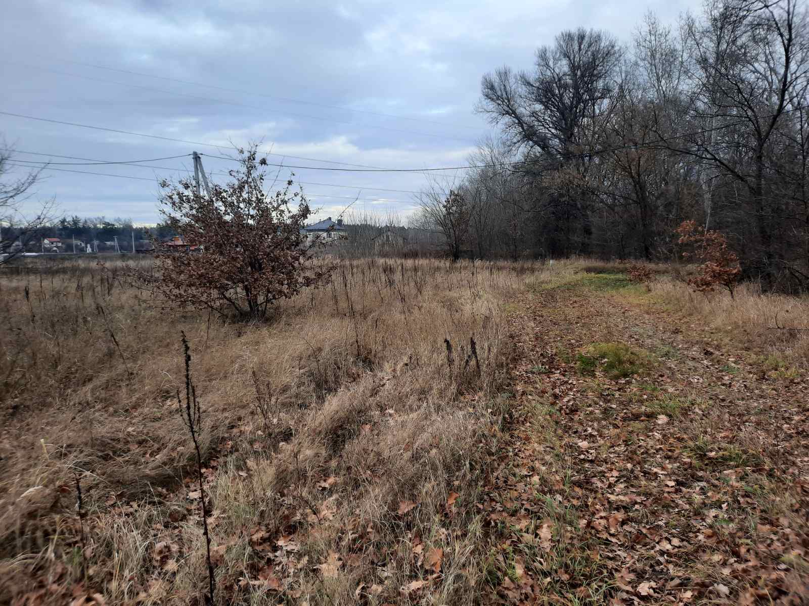 Продаж ділянки під рослинництво 12 соток