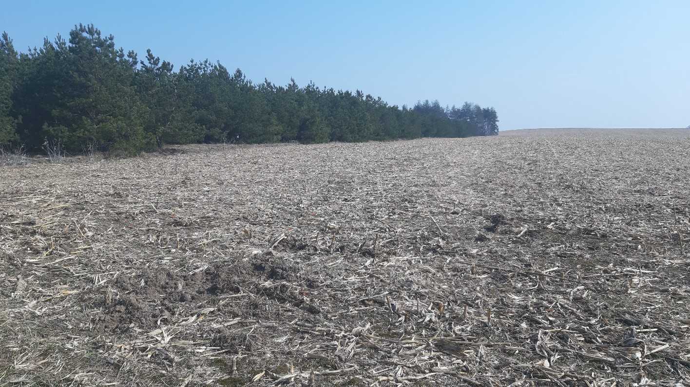 Продаж ділянки для особистого сільського господарства 200 соток, Вороньков, улица Вороньківська с/р