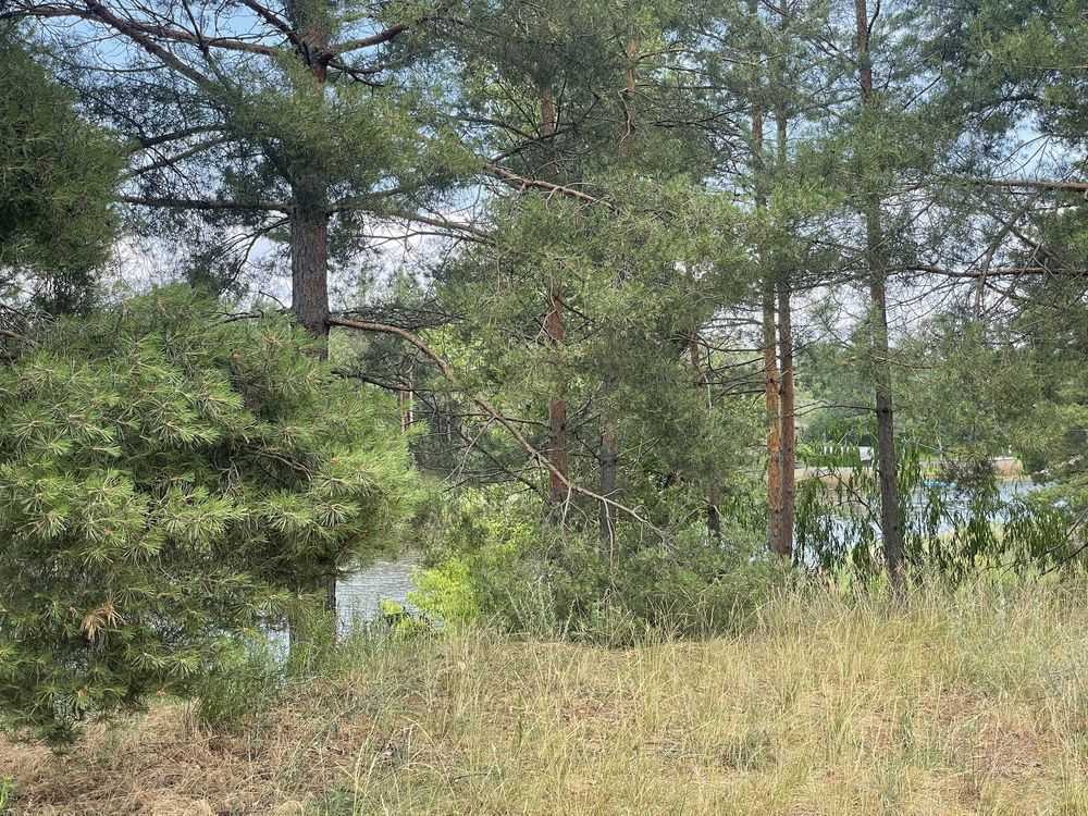 Продажа участка под индивидуальное жилое строительство 37 соток, Головна