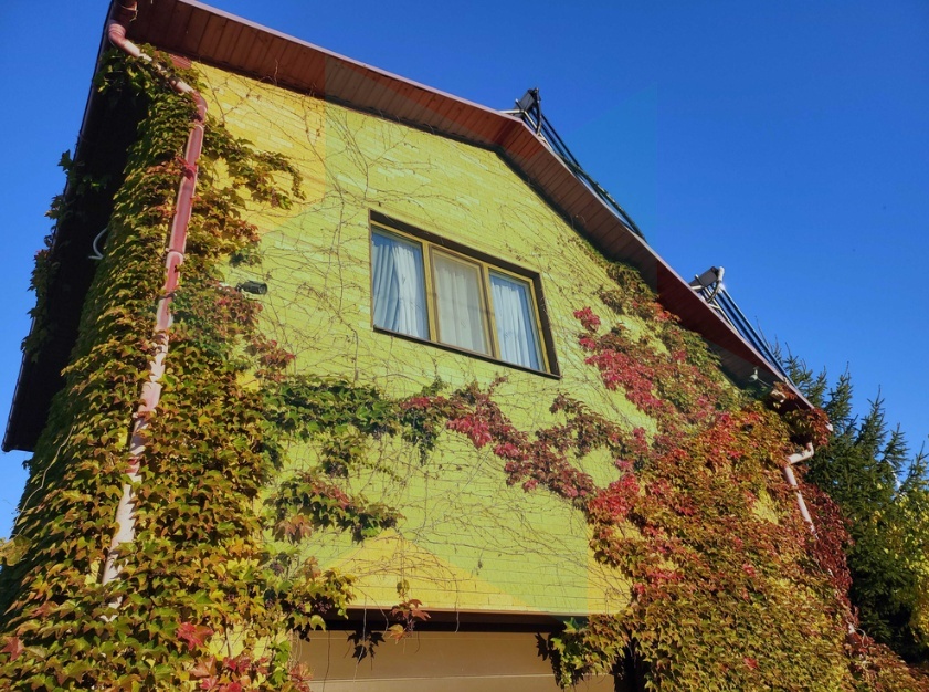 Оренда 1-кімнатної квартири 46 м², Прибережна вул.