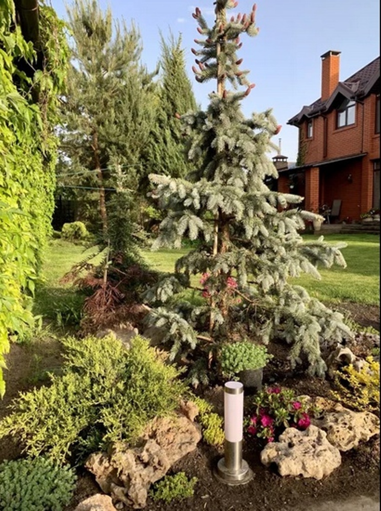 Аренда дома 400 м², Новочеркасская ул.