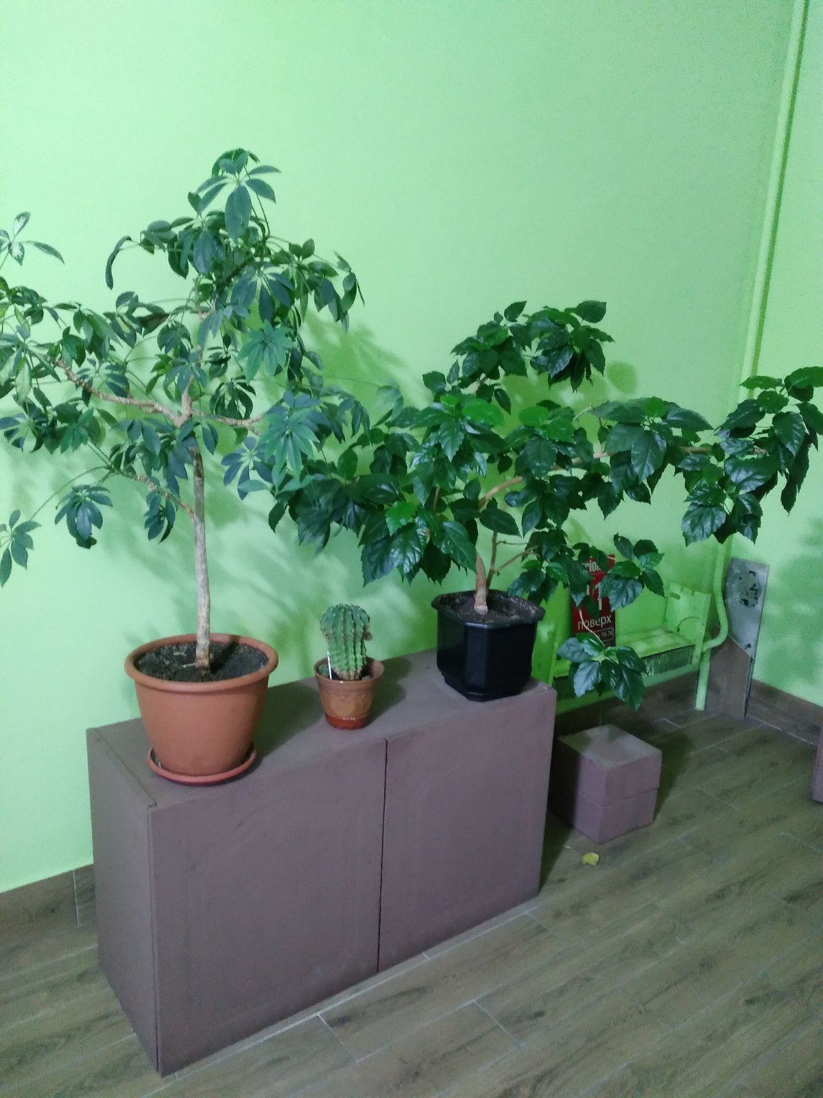 Оренда 1-кімнатної квартири 35 м², Райдужна вул., 35