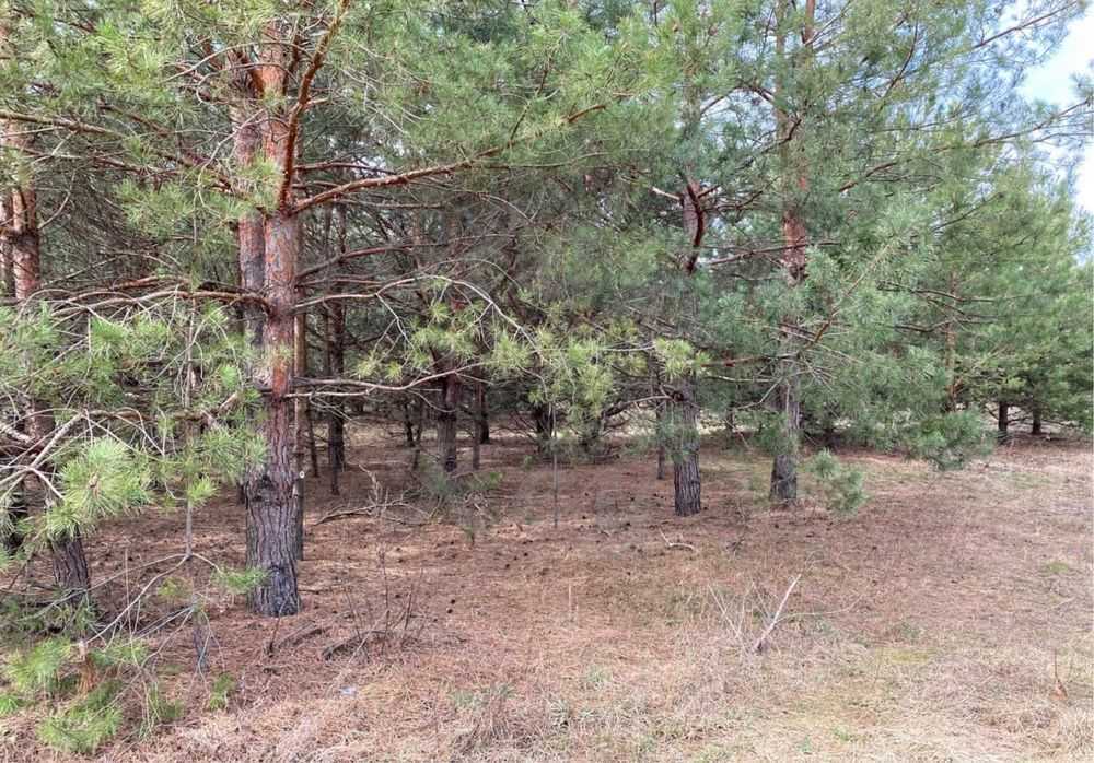 Продаж ділянки під індивідуальне житлове будівництво 110 соток, Степова