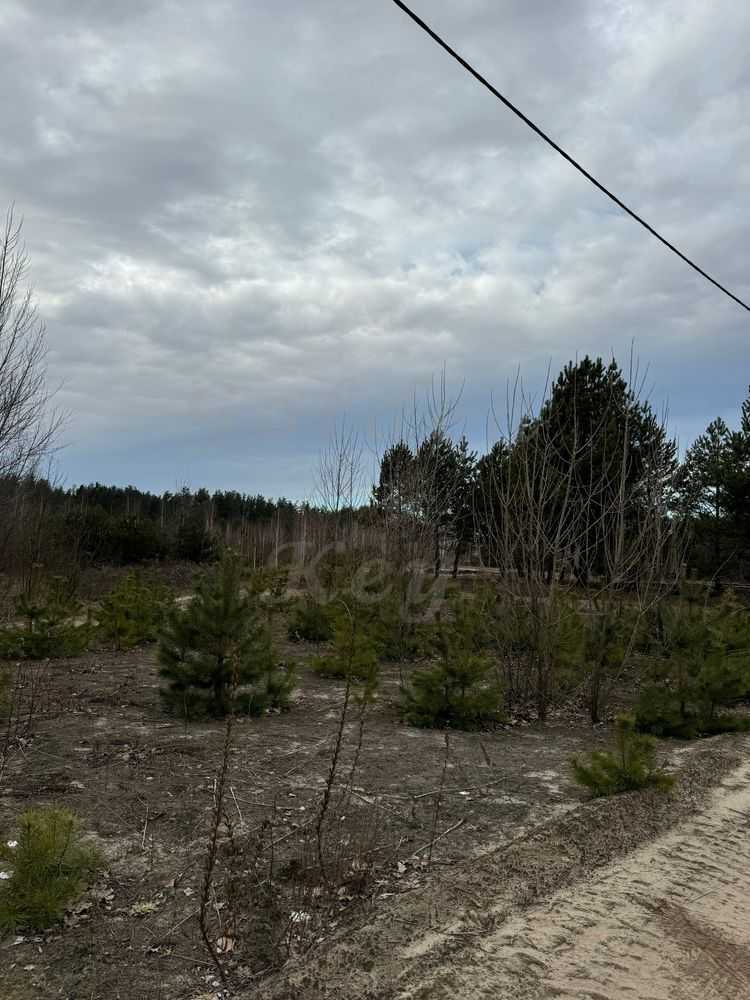 Продаж ділянки під індивідуальне житлове будівництво 110 соток, Степова