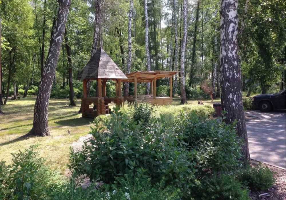 Продаж ділянки під індивідуальне житлове будівництво 110 соток, Степова