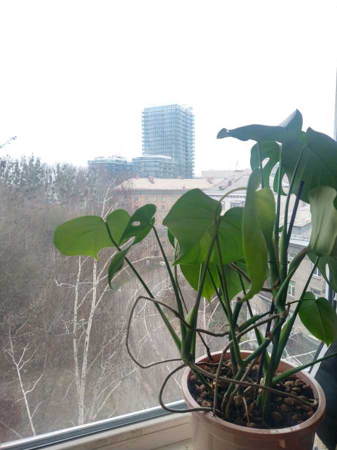 Оренда 2-кімнатної квартири 54 м², Кловський узвіз