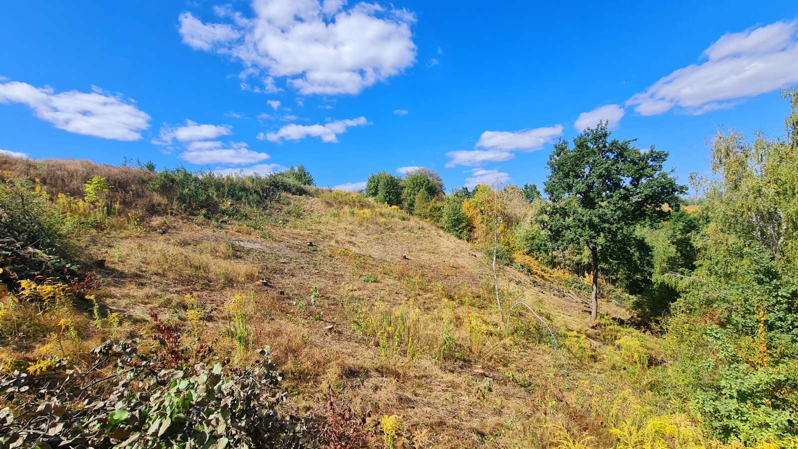 Продаж ділянки під індивідуальне житлове будівництво 20 соток, Щаслива