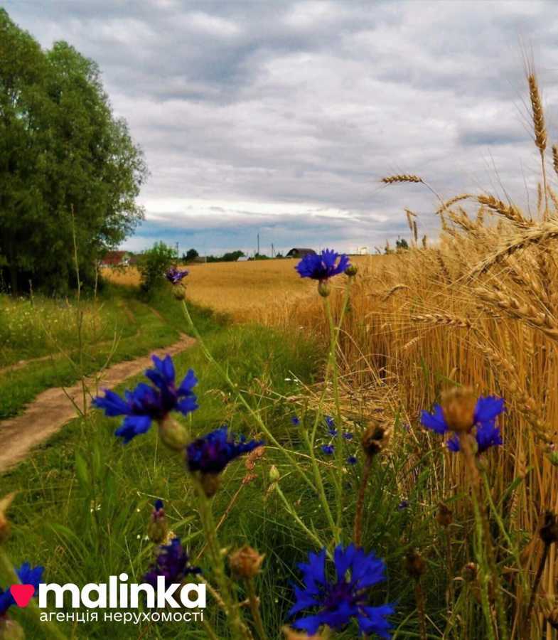 Продажа участка для личного сельского хозяйства 23.6 соток