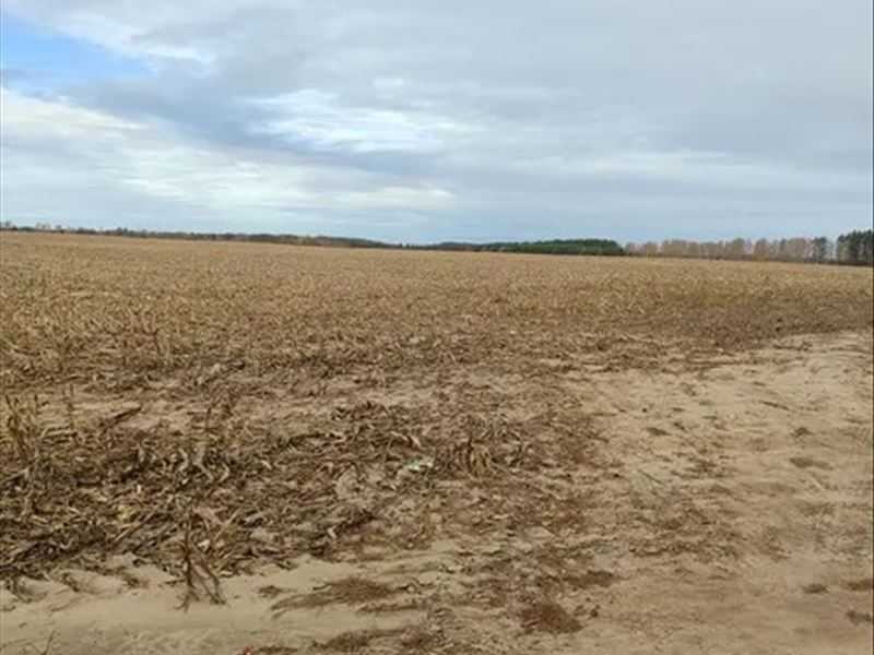 Продаж ділянки для особистого сільського господарства 480.01 соток, нова